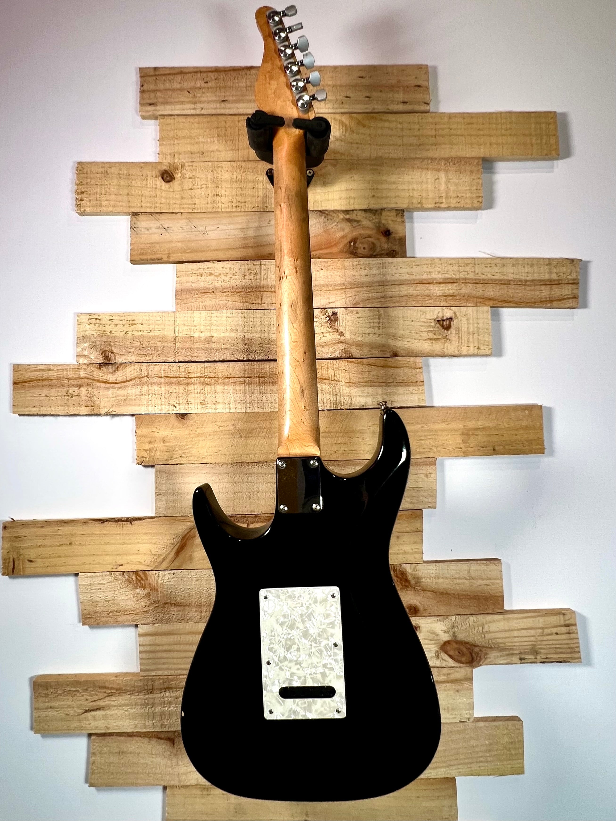 Zion Radicaster Black 1996