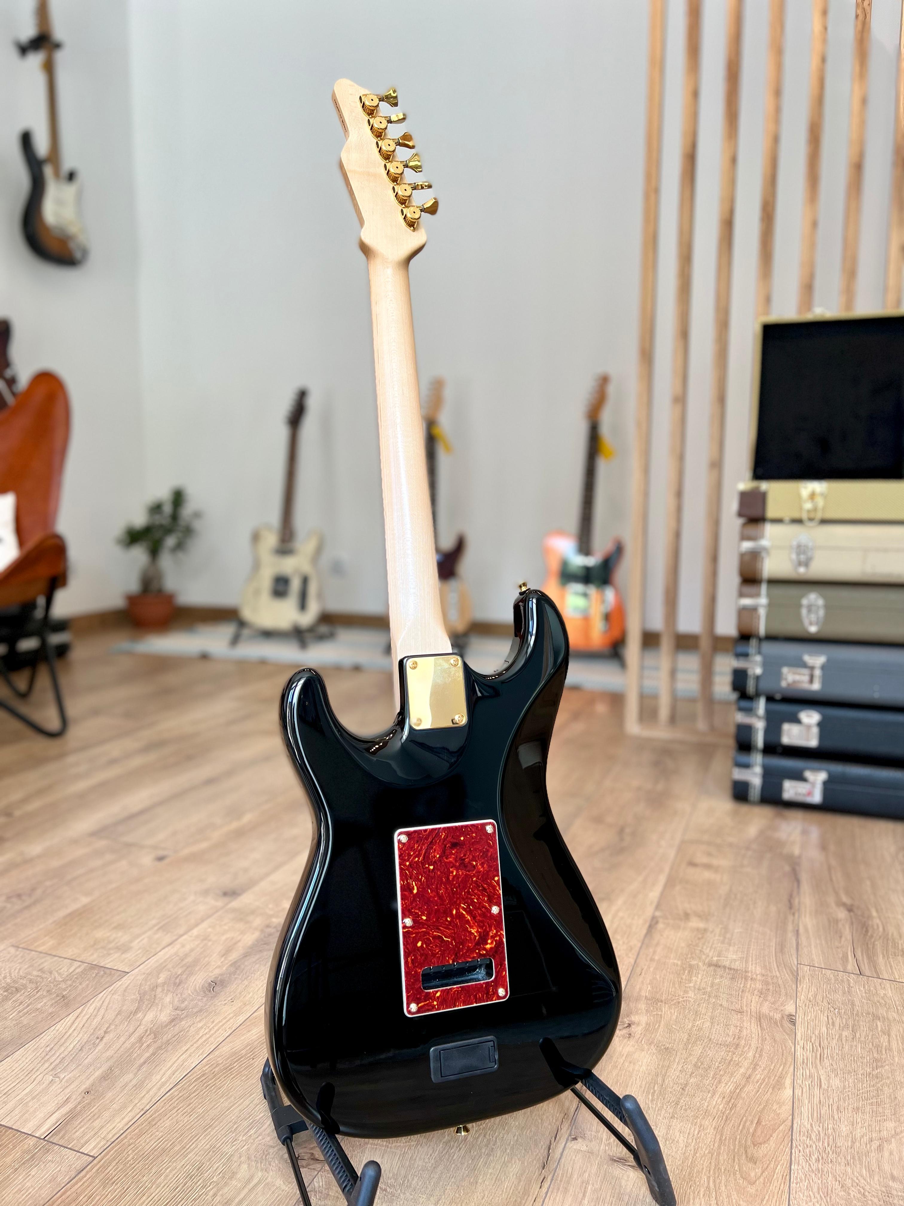James Tyler Dann Huff guitar back