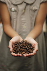 What is specialty/specialty coffee