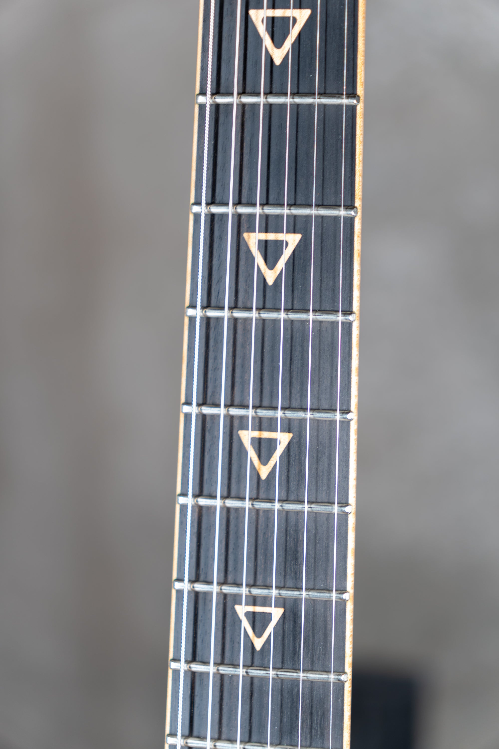 Valiant Smith Flamed Green Burst - single-cut electric guitar