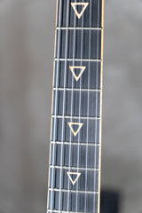 Valiant Smith Flamed Green Burst - single-cut electric guitar