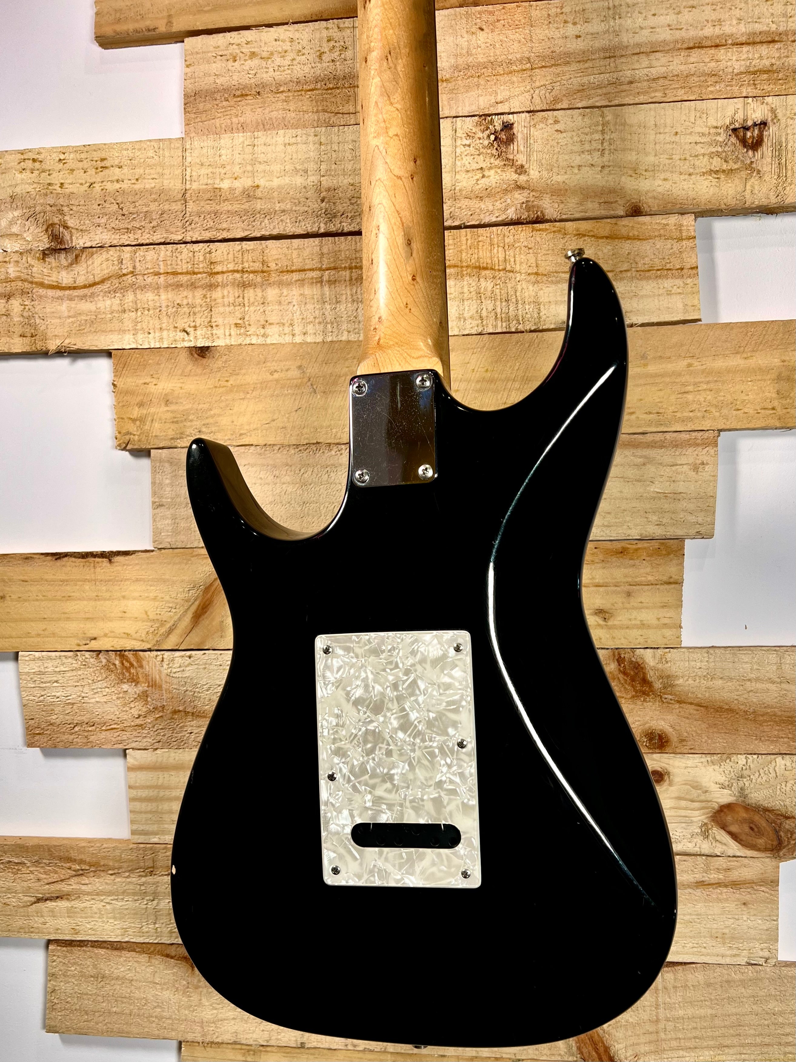 Zion Radicaster Black 1996
